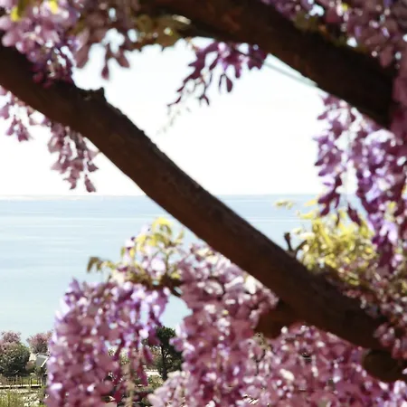 Galli - Wellness&spa